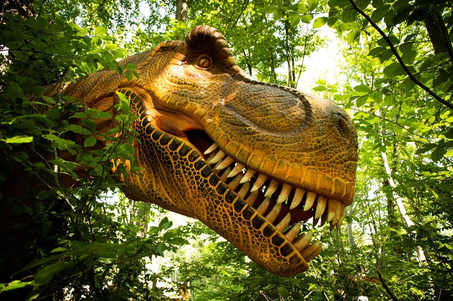 stiri recente din educatie