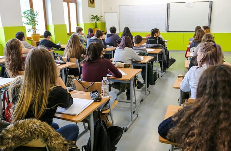 Schimbări în educație unele materii vor fi opționale