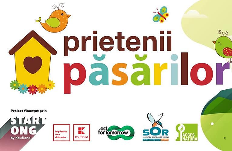 Prietenii păsărilor. Sesiune gratuită de birdwatching în Parcul Tineretului
