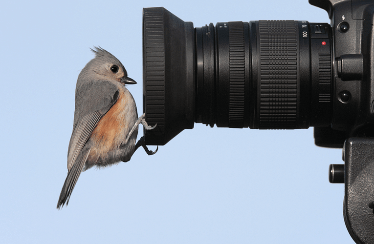 Concurs de fotografie pentru elevi 