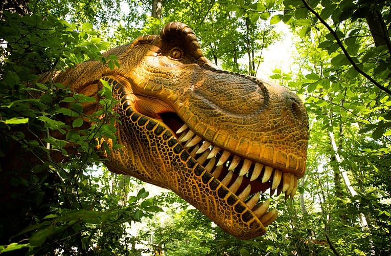 Știri recente din educație:Acces gratuit la Dino Parc, până în mai