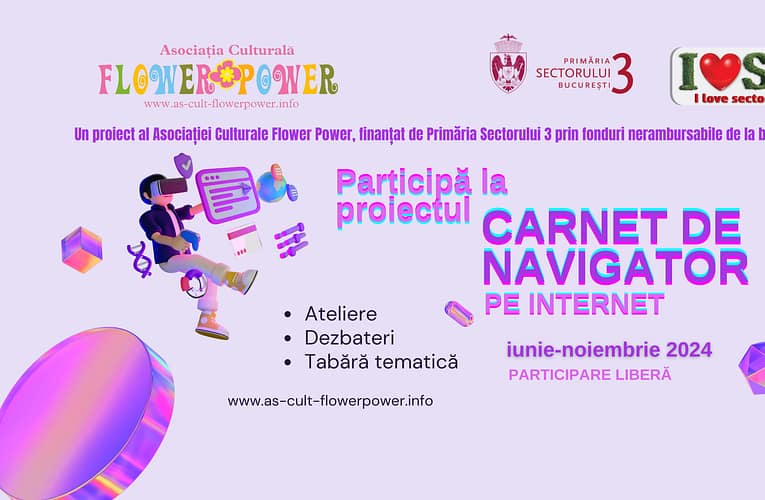 Videolearning – Carnet de navigator pe internet